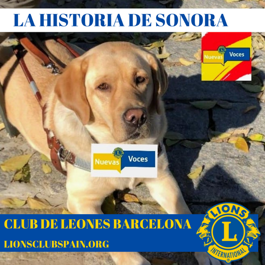 La Historia de Sonora Club de Leones Barcelona