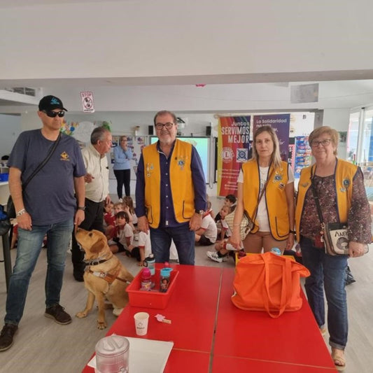 club de leones benidorm